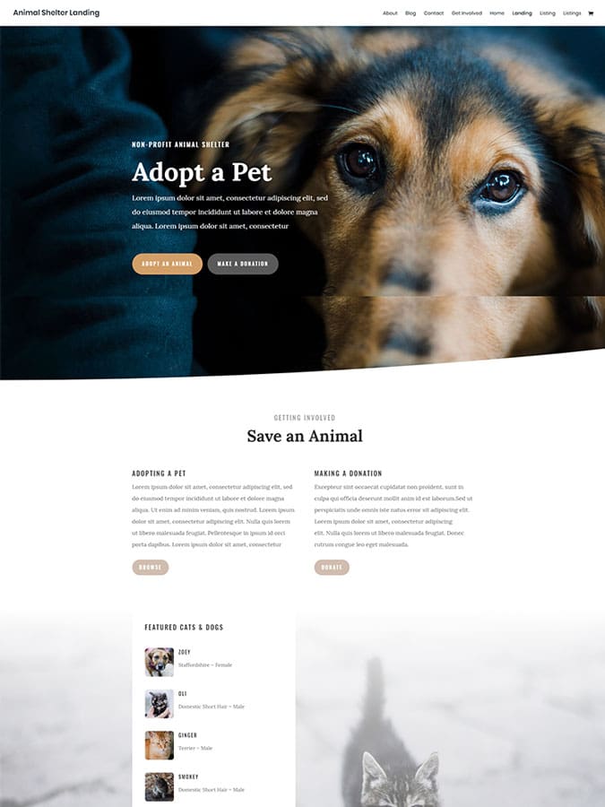 Thème wordpress divi créer site internet animaux animal chien refuge template Thème wordpress divi créer site internet animaux animal chien refuge template