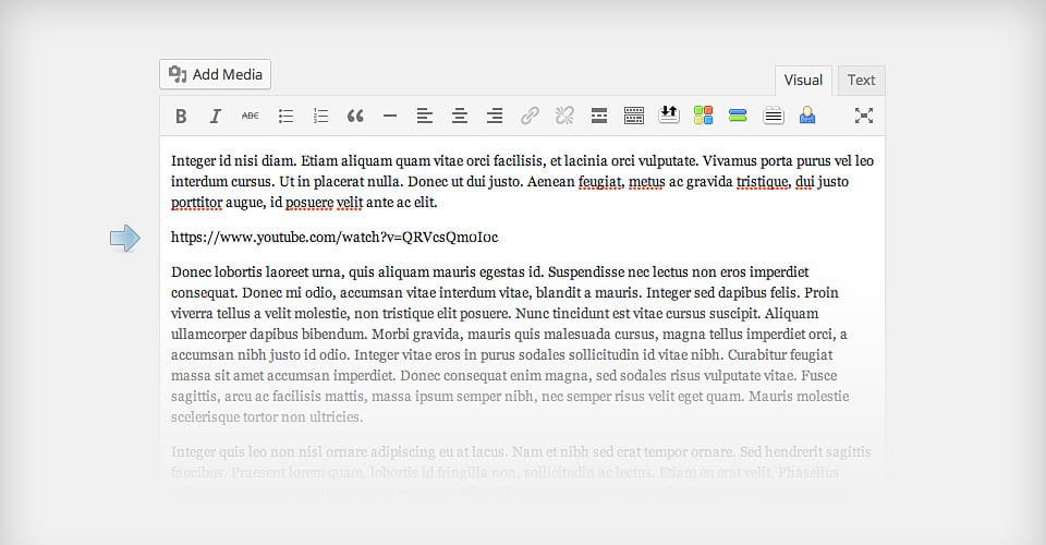 Ajouter une video wordpress editeur ajouter une video wordpress editeur.jpg