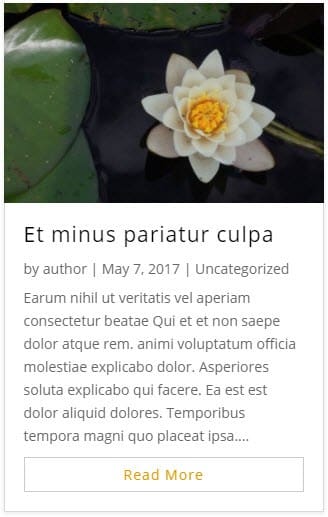 Design des blocs articles divi design des blocs articles divi.jpg