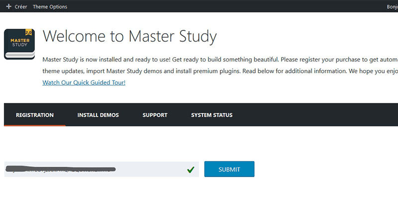 Registration masterstudy theme Registration masterstudy theme
