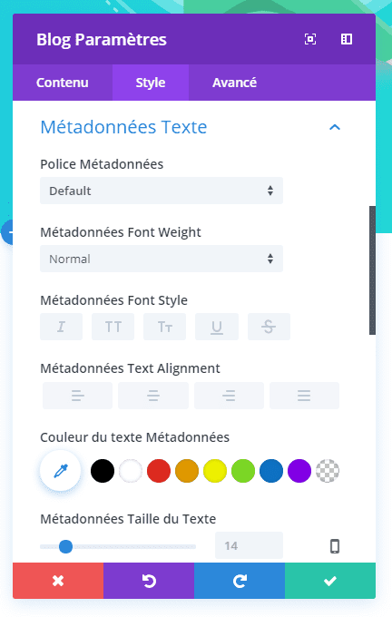 Section meta donnée diiv builder section meta donnée diiv builder.png