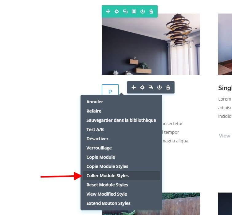 Coller le module de style coller le module de style.jpg
