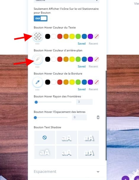 Personnalisation bouton divi personnalisation bouton divi.jpg