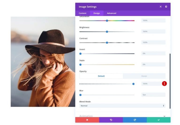 Configuration de lopacite au survol dimage sur divi configuration de l'opacite au survol dimage sur divi.jpg