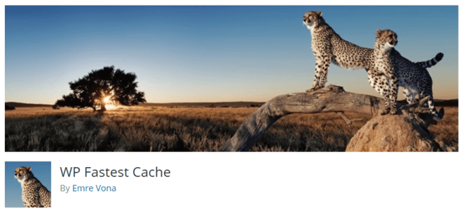 wp fastest cache.png