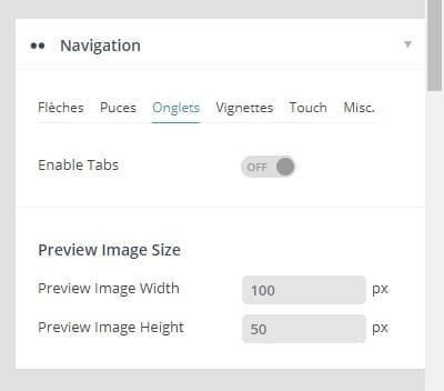 onglet navigation revolution slider.jpg