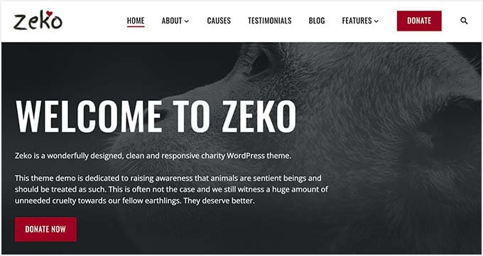 Zeko Zeko - thèmes WordPress d'organisation à but non lucratif