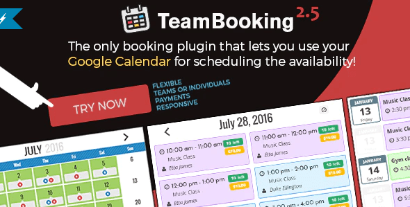Team booking wordpress booking system plugin wordpress