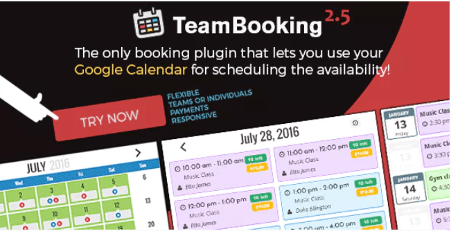 Team booking wordpress booking system Team booking - meilleurs plugins WordPress de réservations