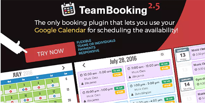 Team booking plugin wordpress reservation Team booking plugin wordpress reservation