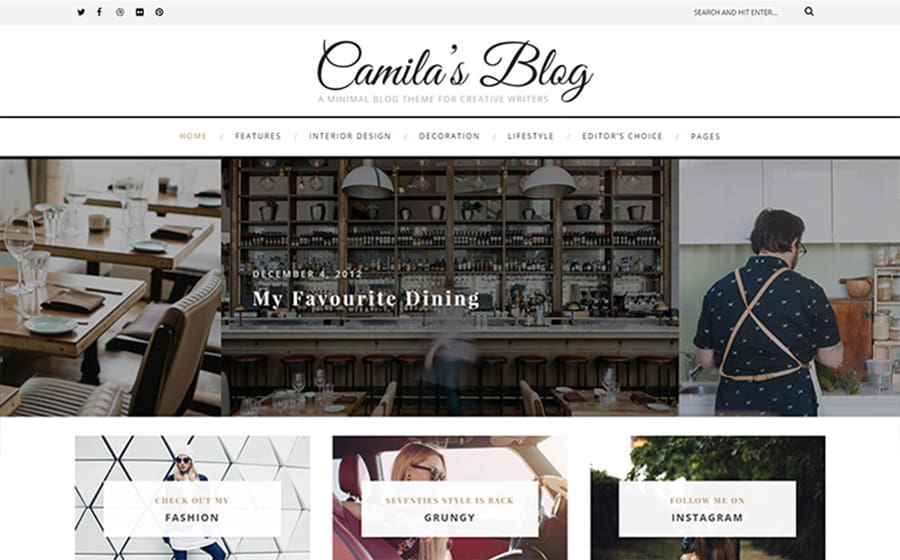 65636 big Camila’s Blog - Thème WordPress minimaliste parfait pour blog