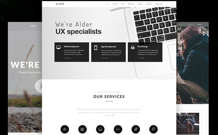 65922 big Alder - OnePage WordPress Theme