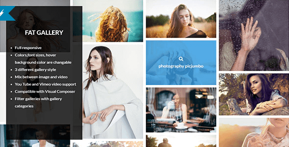 Fat image gallery for wordpress plugin Fat image gallery for wordpress plugin