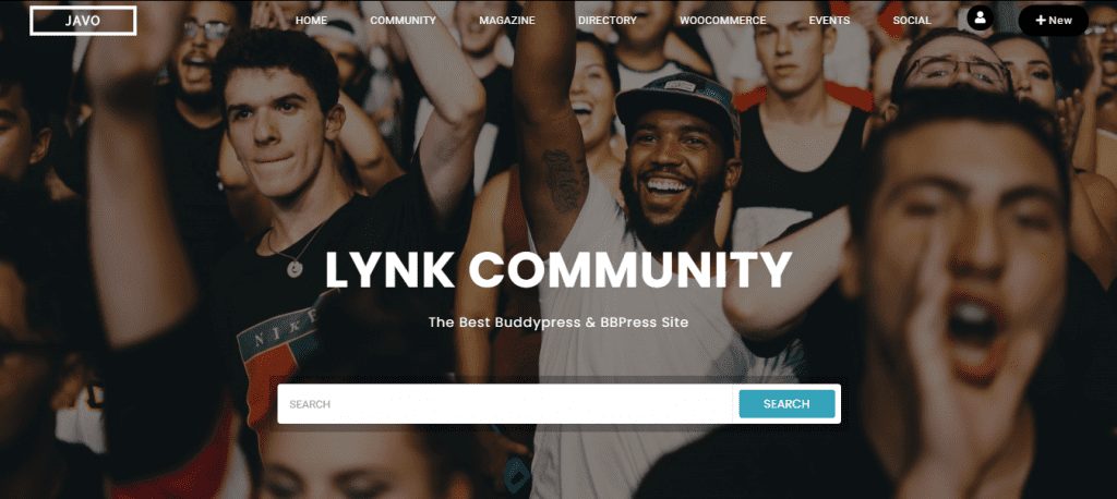 Lynk-theme-wordpress-creer-site-web-reseau-social-site-web-communautaire » BlogPasCher