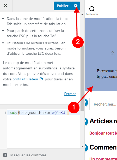 saisir code css supplémentaire et publier » BlogPasCher saisir code css supplémentaire et publier