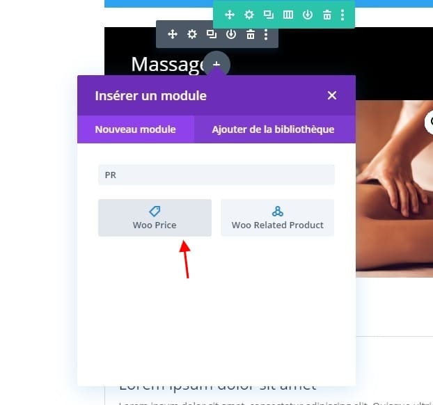 Woocommerce price divi Woocommerce price divi