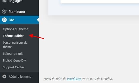 Divi theme builder Divi theme builder