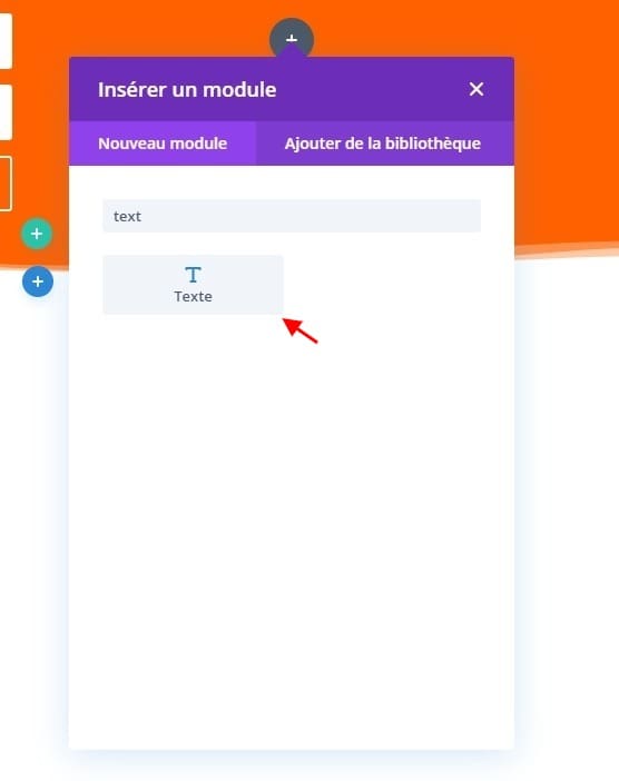 Module texte divi Module texte divi
