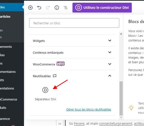 Séparateur divi gutenberg Séparateur divi gutenberg