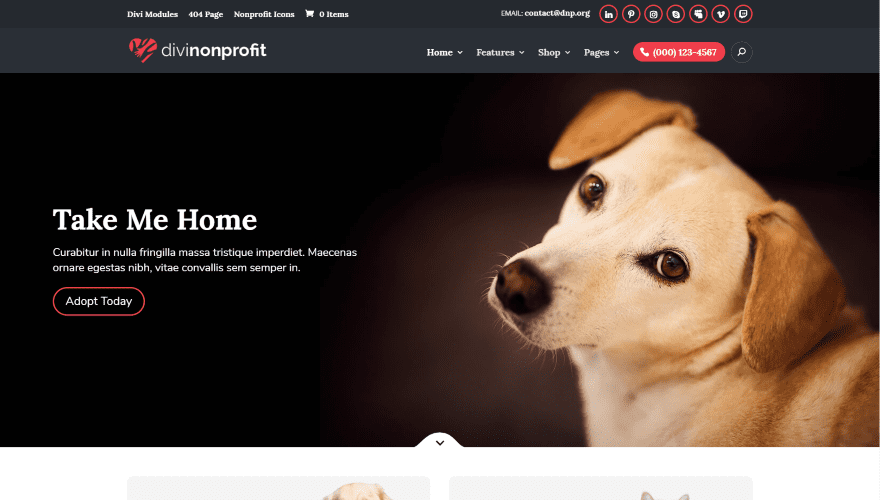 Divi nonprofit Divi nonprofit