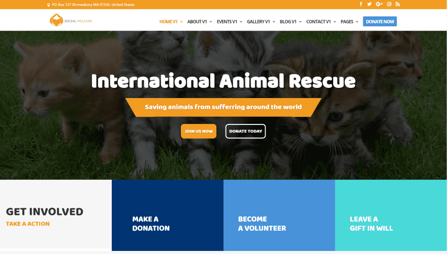 Social welfare non profit multipurpose divi charity Social welfare non profit multipurpose divi charity