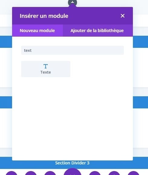 Module texte divi Module texte divi