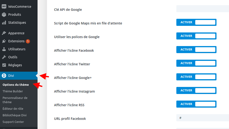 Options theme divi Options theme divi