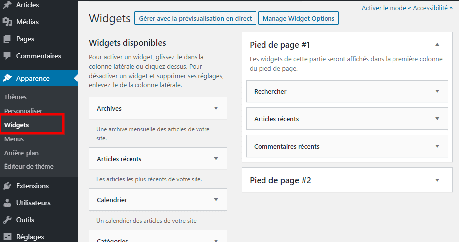 Comment masquer widget wordpress blogpascher 1
