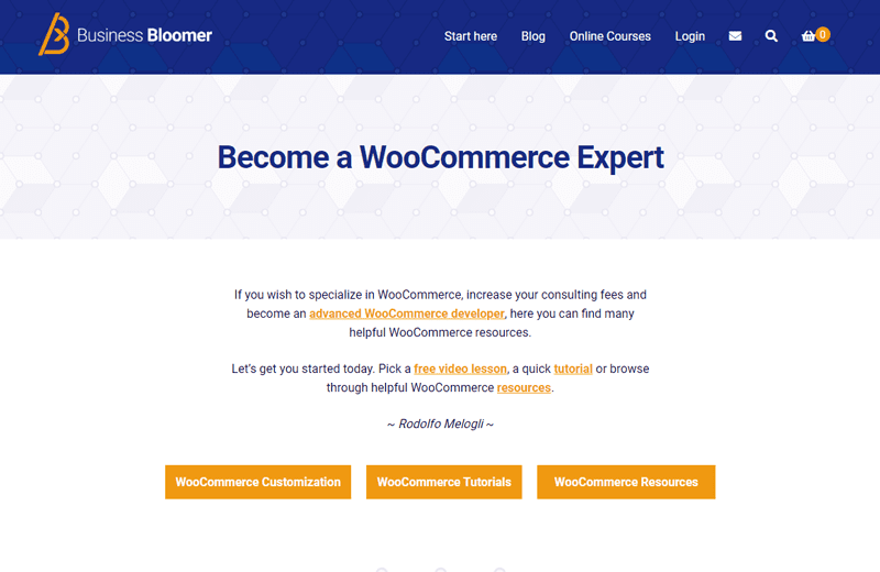 Ressources utiles developpeurs business bloomer blogpascher