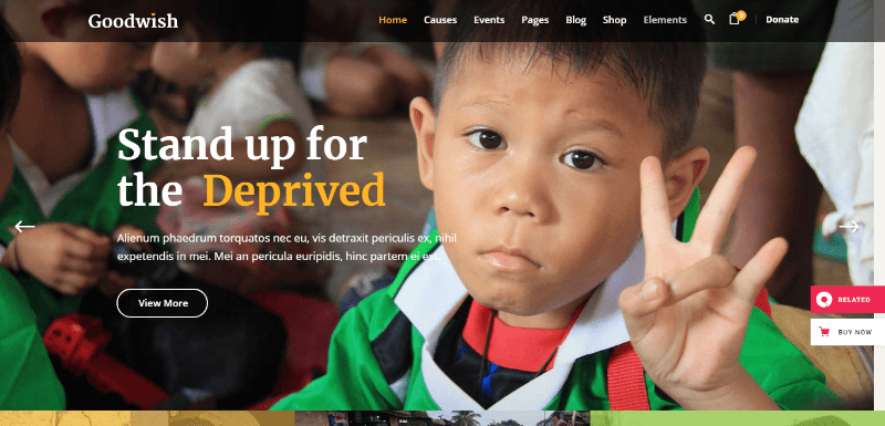 Goodwish theeme wordpress pour site internet a but non lucratif