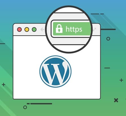 mise a jour https wordpress login