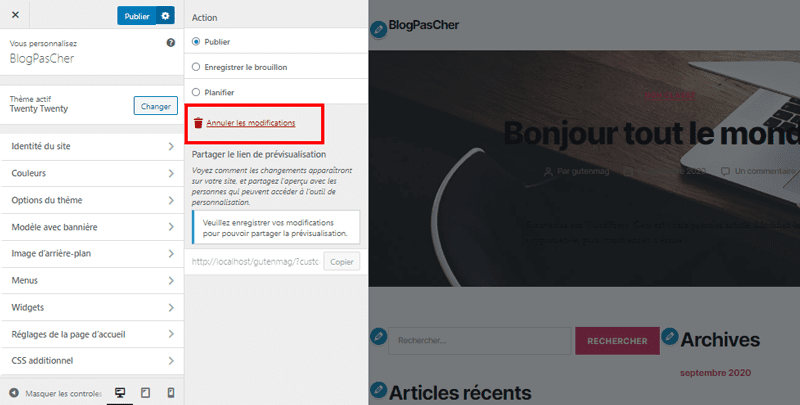 Настройщик WordPress темы отменить модификацию blogpascher Настройщик WordPress темы отменить модификацию blogpascher