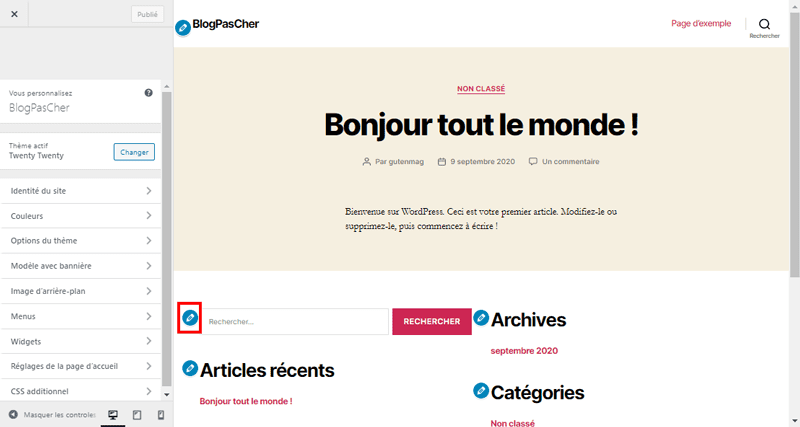 Настройщик тем для WordPress blogpascher 2 Настройщик тем для WordPress blogpascher 2