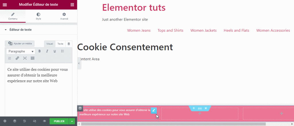 creer-un-popup-de-consentement-de-cookie-dans-elementor-8 » BlogPasCher popup de consentement aux cookies