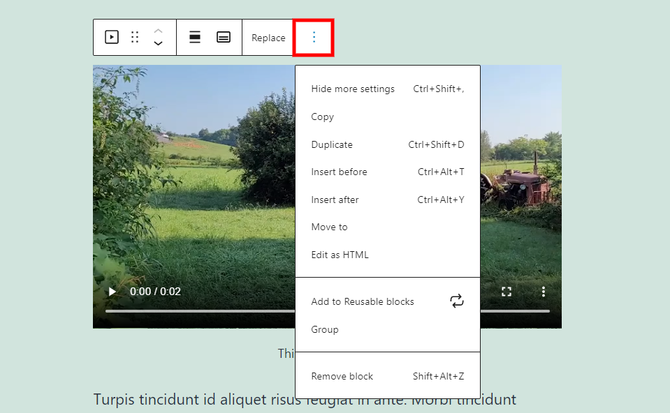 » BlogPasCher Options de bloc vidéo