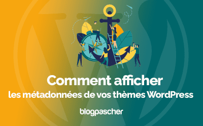 Comment afficher les métadonnées de vos thèmes WordPress
