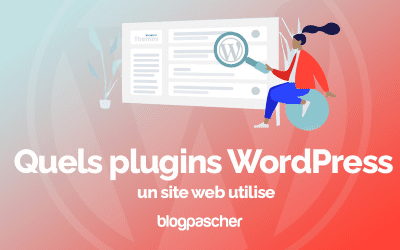 Quels plugins WordPress un site web utilise ?
