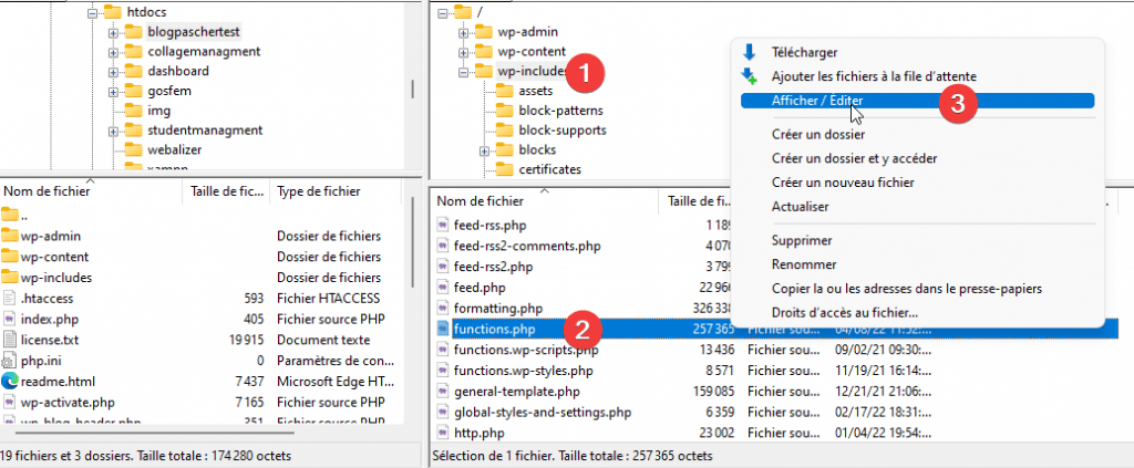 comment-televerser-svg-sur-wordpress-5 » BlogPasCher téléverser les SVG sur WordPress