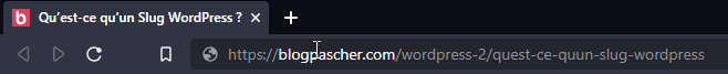 quest-ce-quun-slug-wordpress-1 » BlogPasCher
