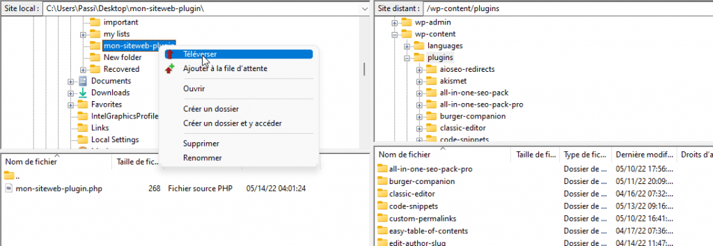 Uploading plugin via FTP
