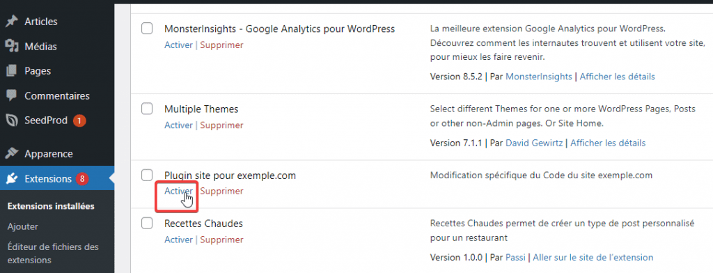 Activate plugin Activer un plugin