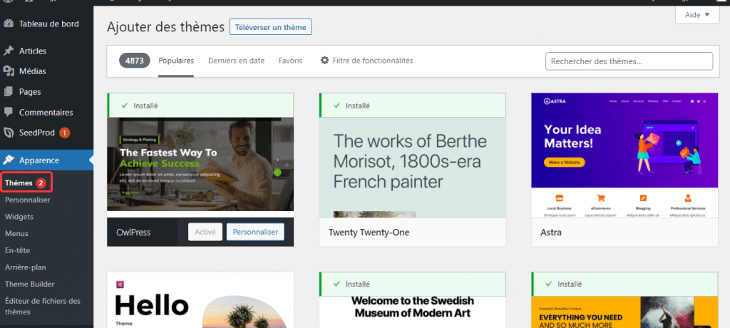 Install WordPress theme