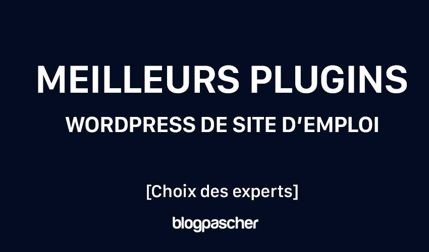 10 Meilleurs Plugins WordPress De Site Demploi 2024