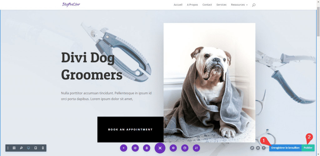 chrome_56oBke5ZML » BlogPasCher Changer une image au survol avec DIVI