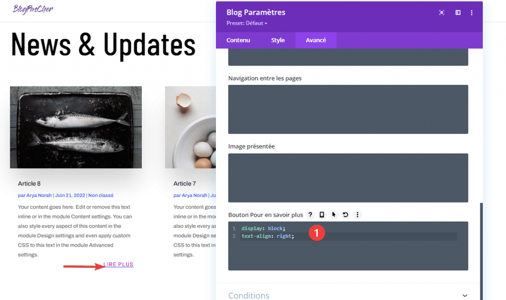 chrome_lyBxS5dKle » BlogPasCher Personnaliser le lien Lire Plus du module Blog de Divi