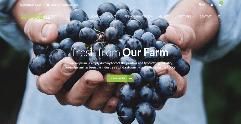 meilleurs-themes-wordpress-pour-creer-un-site-web-dagriculteur-ou-de-fermier » BlogPasCher