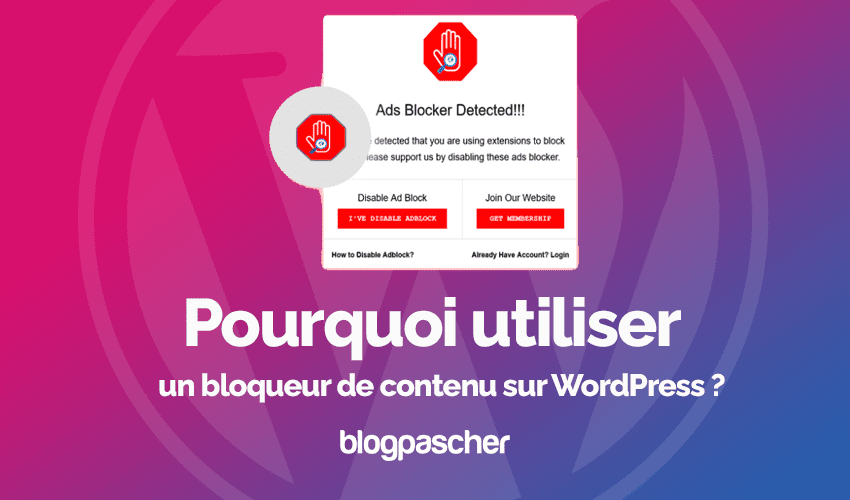Pourquoi utiliser un bloqueur de contenu sur WordPress ?