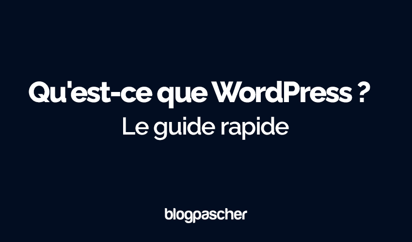 WordPress: The Quick Beginner's Guide