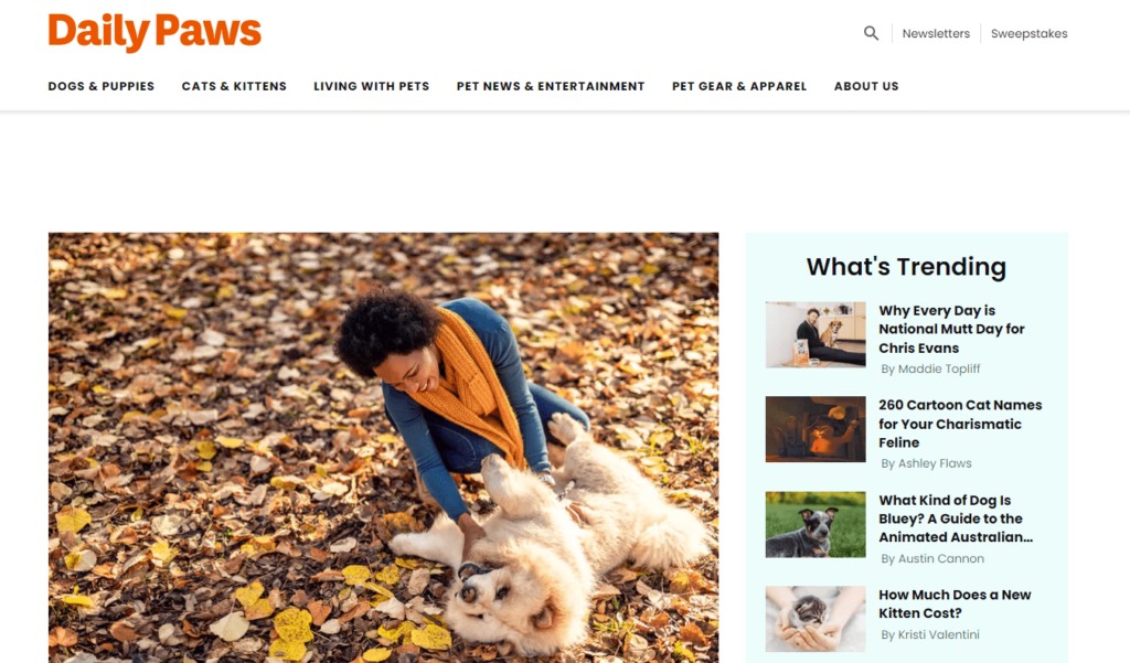 Pet Website